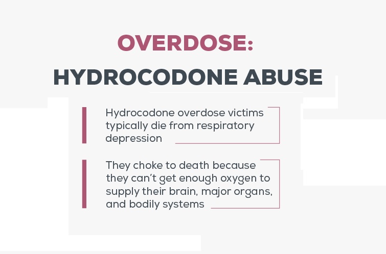 Hydrocodone Opioid Painkiller